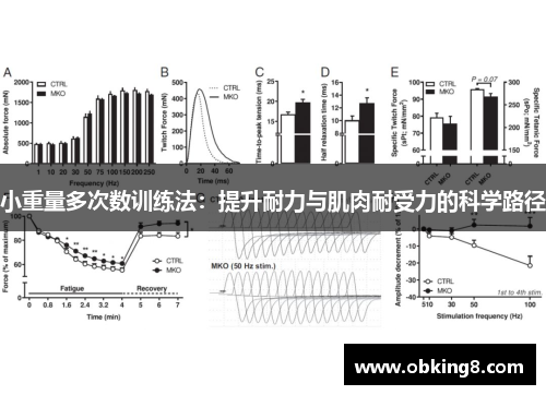 小重量多次数训练法：提升耐力与肌肉耐受力的科学路径